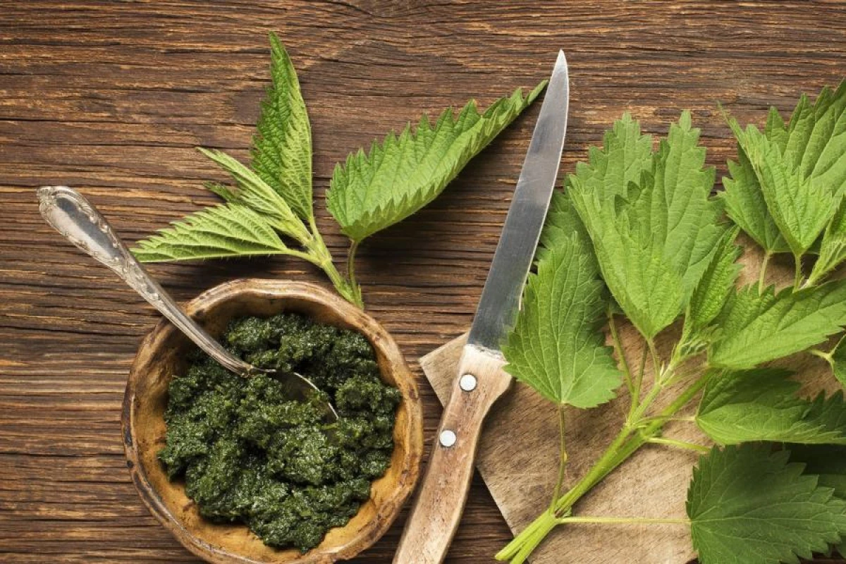 Nettle Soup: A Healthy and Delicious Recipe