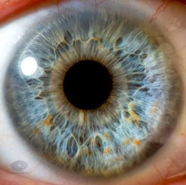 Instead of fingerprints - eye scanning?