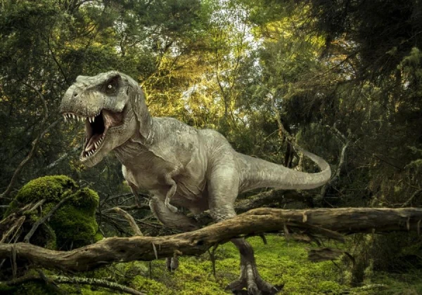 How Smart Was Tyrannosaurus Rex Really?