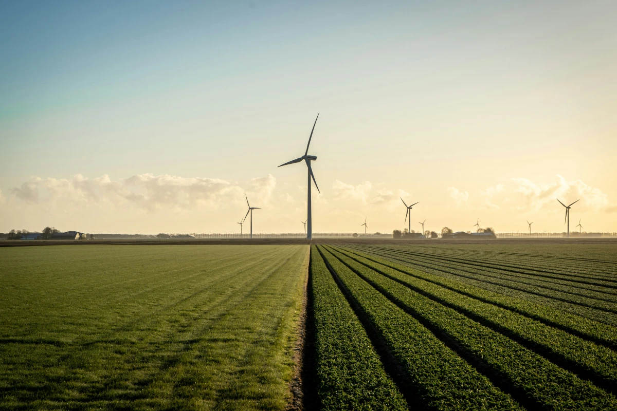 In Lithuania, is the wind different? Why Latvia lags behind in wind energy