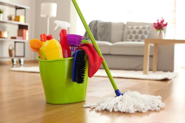 Goodbye, Dust! How Often to Clean and How to Prevent Mites