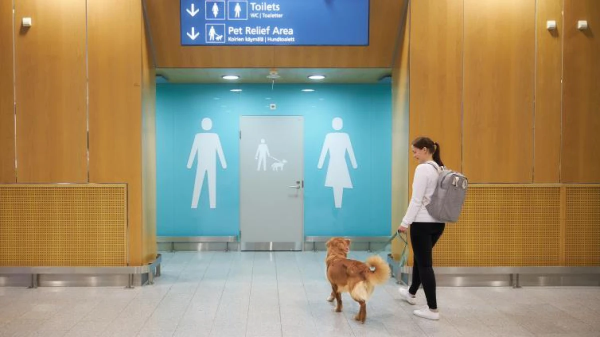 The Origin of the Term Toilet