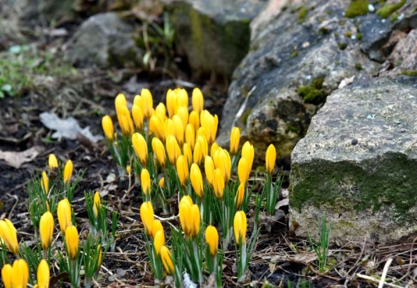 April turned out to be colder than normal and almost without rain