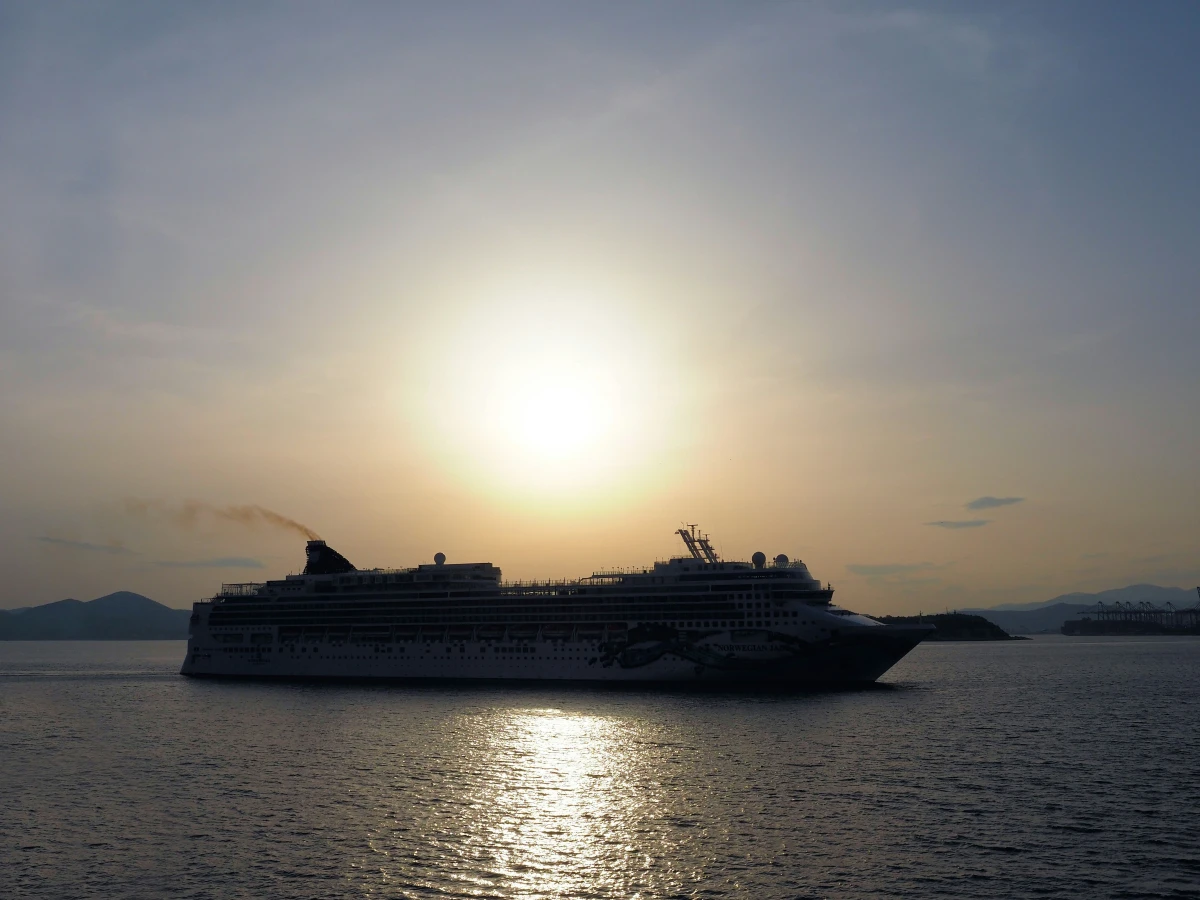 Millions of People in Danger: Hantavirus Outbreak on Cruise Ship is Just the Beginning