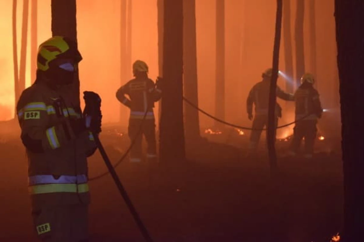 Major Forest Fire in Poland: Firefighter Pilot Killed
