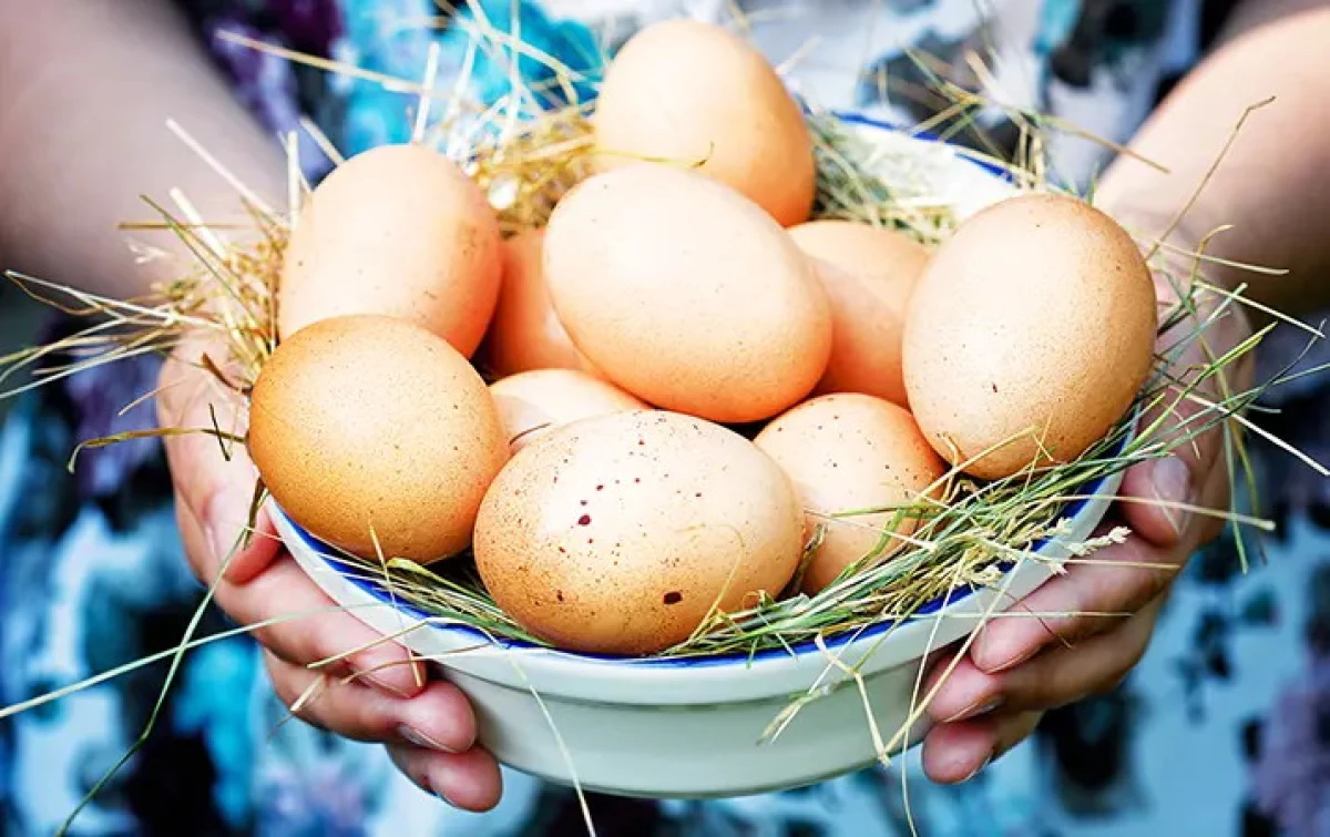 Just 2 Eggs a Week Reduce the Risk of Alzheimer's Disease