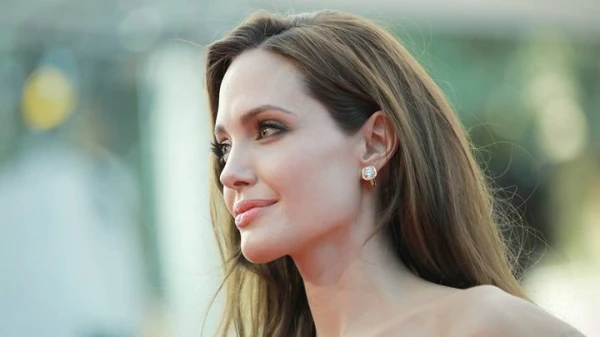 Los Angeles Supreme Court Sides with Angelina Jolie in Dispute with Brad Pitt Over Winery