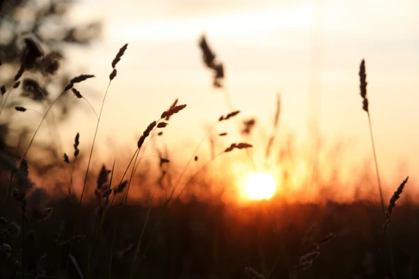 The Brightest Period of the Year Begins in Latvia