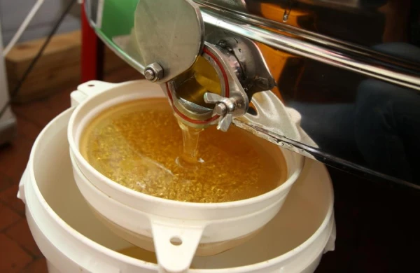 The Dispute Over 'Fake' Honey Continues in Latvia