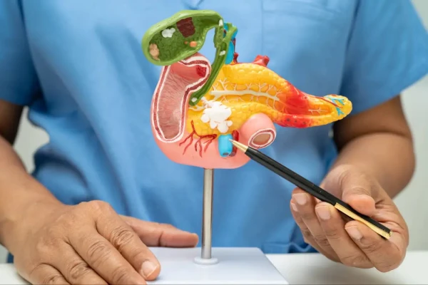 Scientists Discover Link Between Minerals in the Body and Pancreatic Diseases
