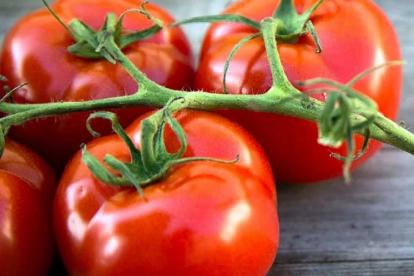 How to Grow Delicious Tomatoes: Proven Experience