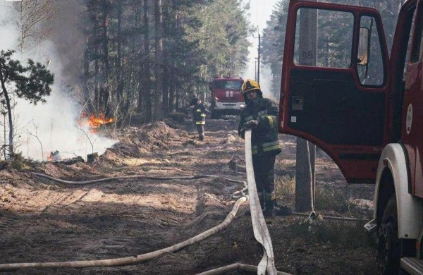 Massive Fire in Chernobyl Zone: Experts Assess Radiation Risks