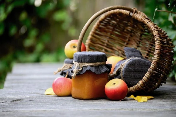 6 Mistakes When Planting a Fruit Orchard That Can Lead to a Lack of Harvest
