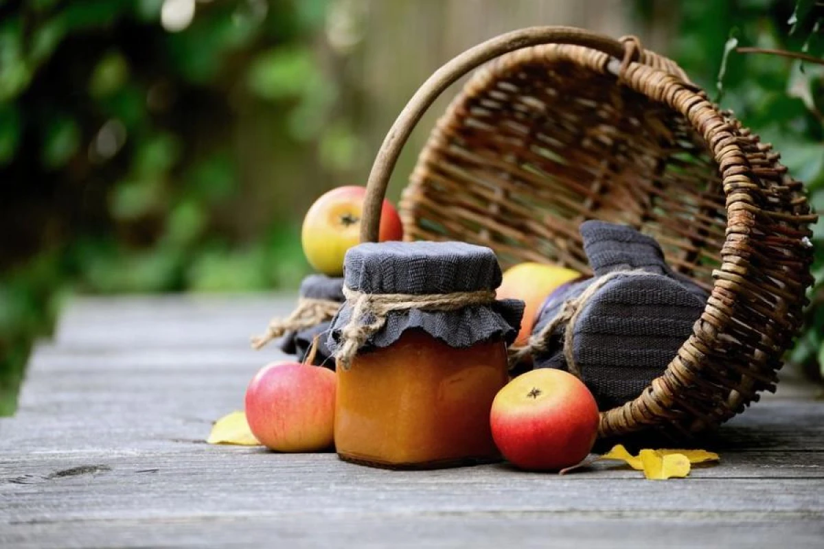 6 Mistakes When Planting a Fruit Orchard That Can Lead to a Lack of Harvest