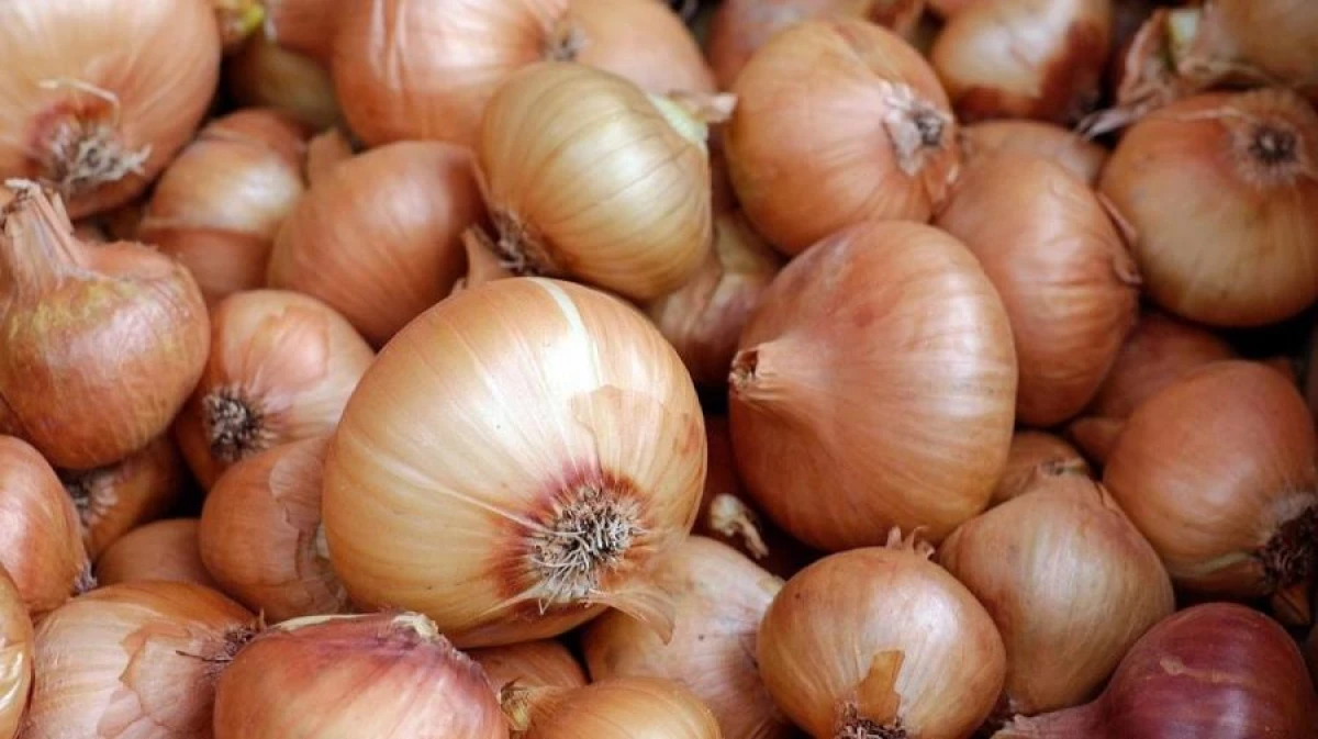 How to Protect Your Garden from Pests with Onion Peels