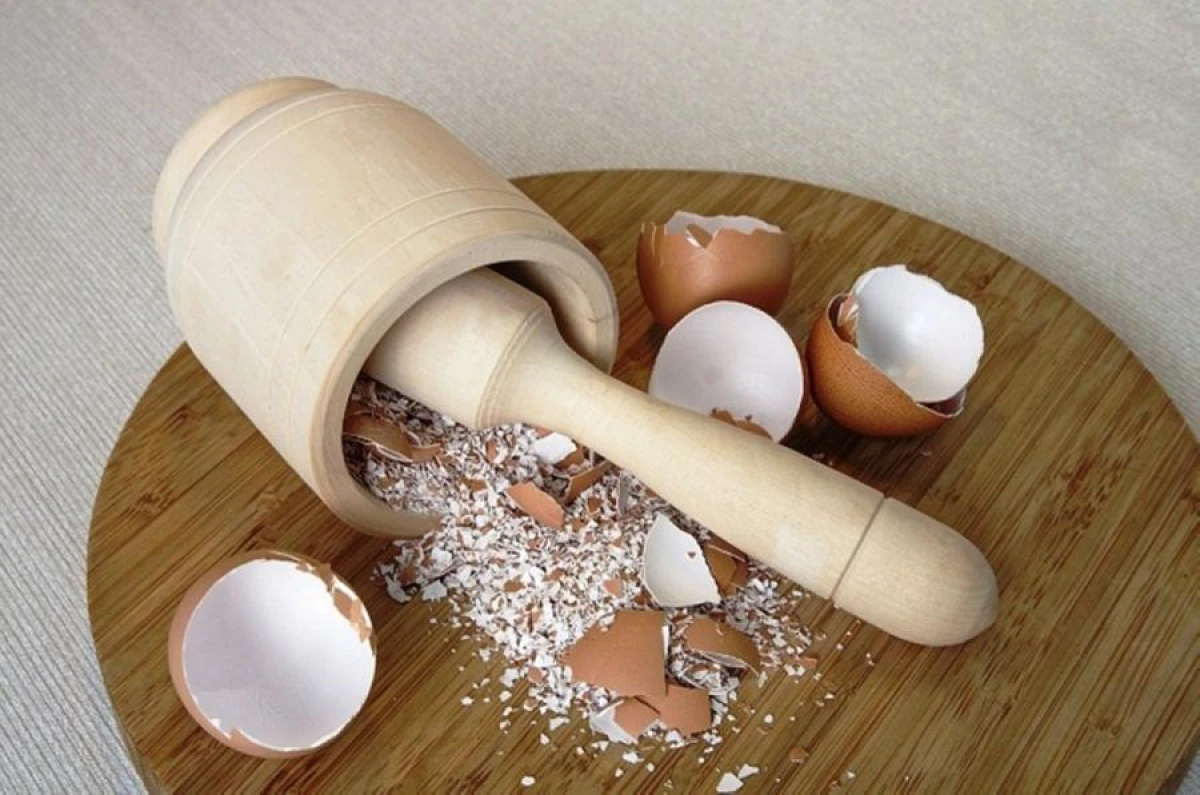 Eggshell: How It Benefits Plants and Ways to Use It as Fertilizer