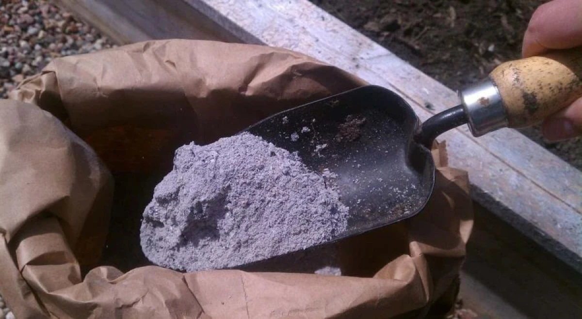 How to Properly Fertilize Plants with Ash: Tips