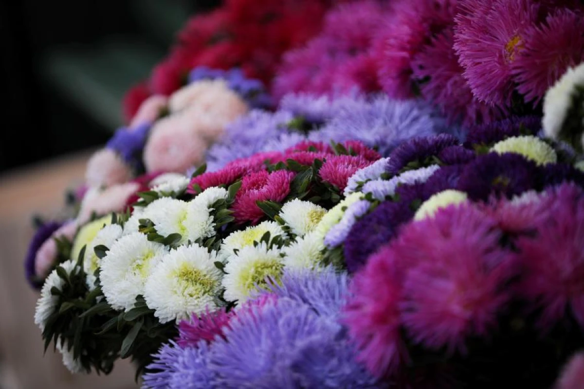 How to Properly Fertilize a Flower Bed for Lush Blooming