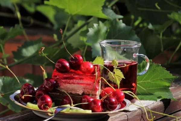 Can You Plant Plums Next to Cherries: Rules of Neighboring