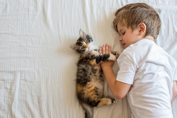 How Cats Remember People for a Lifetime: Amazing Conclusions from Specialists