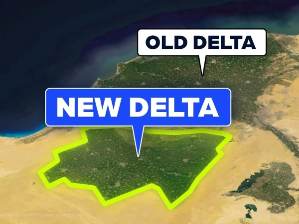 New Delta создаст более 2 млн рабочих мест.
