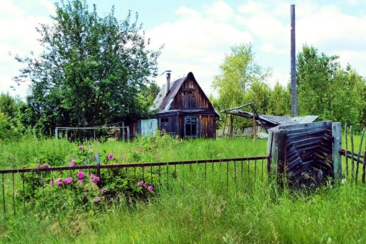 5 Common Gardening Mistakes That Lead to a Lack of Harvest