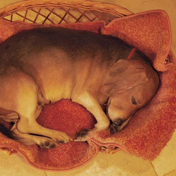 Natalia Vodianova's Kitchen