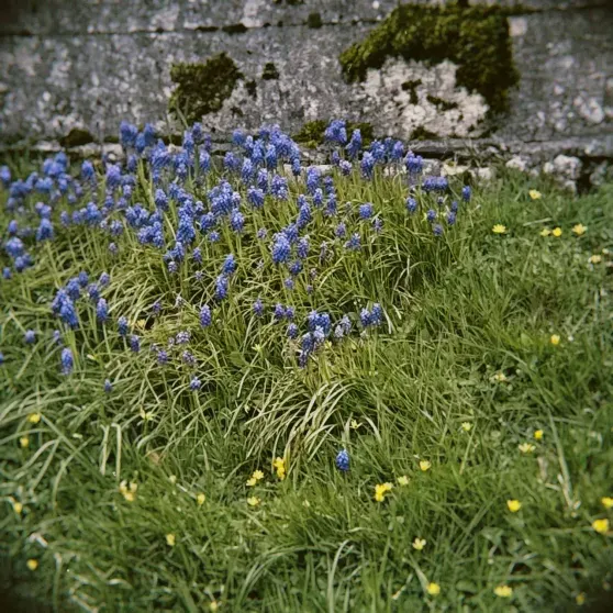 Photo of Paulina Andreeva